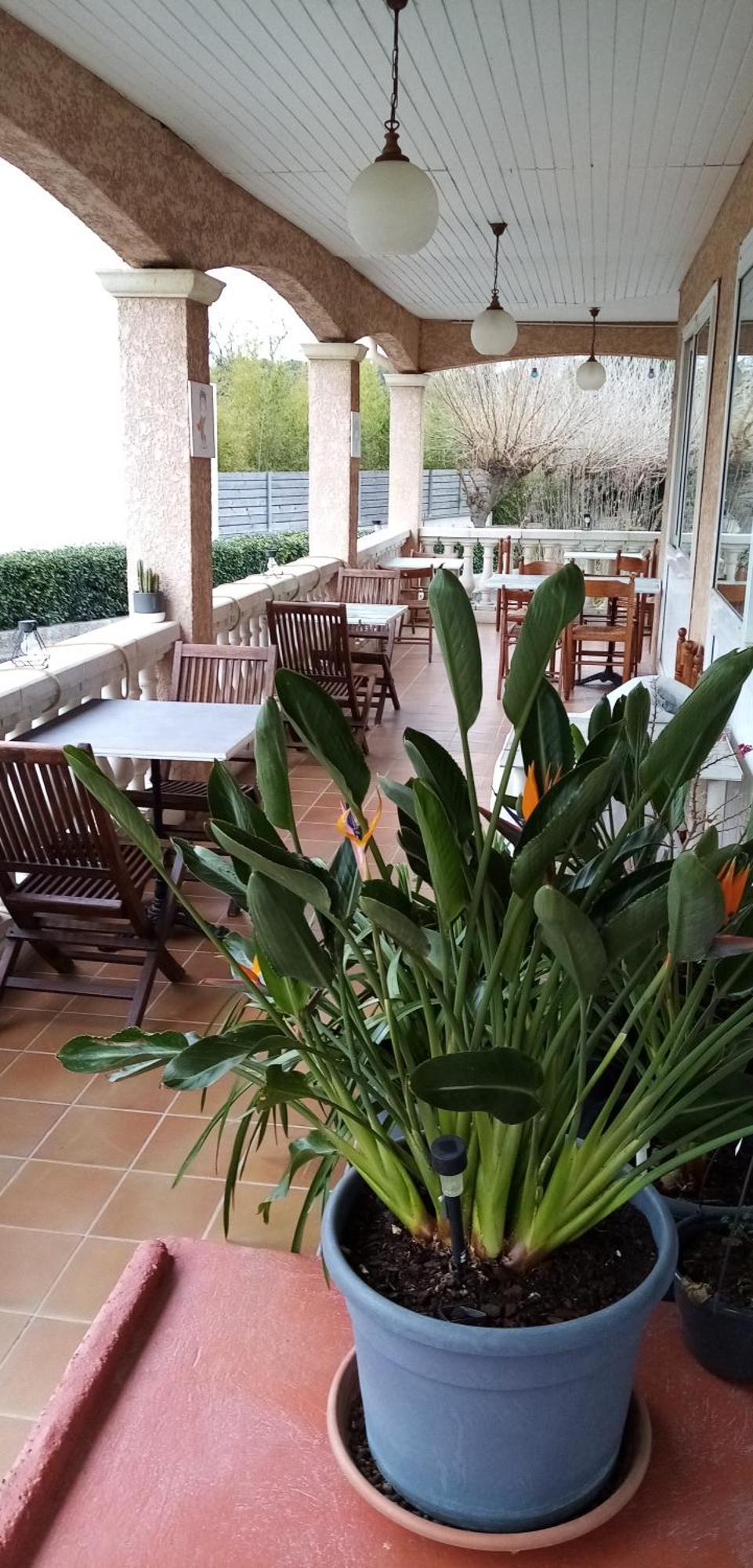 Le Grand Jardin Hotel Aujargues Eksteriør billede